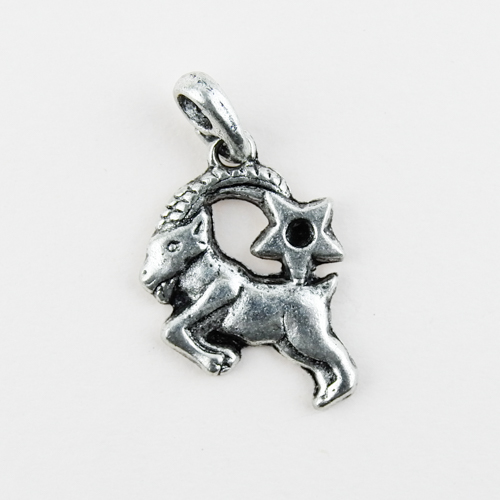 Horoscope Pendant / Charm